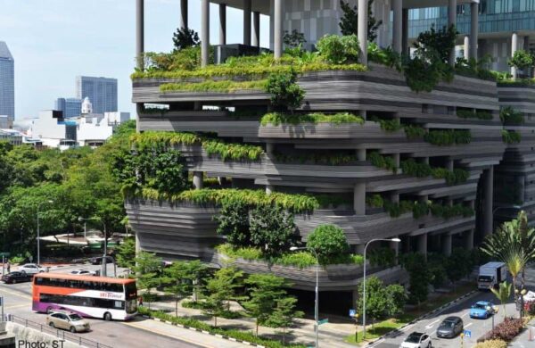 Developers Prefer Green Buildings Over Non-green Ones
