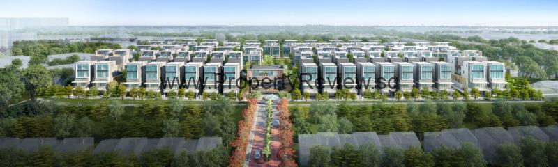 Belgravia Ace 1 Belgravia Ace Overview