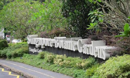 Singapore Botanic Gardens Declared as UNESCO World Heritage Site
