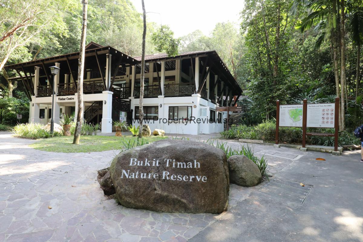 8@BT 9 Bukit Timah Nature Reserve