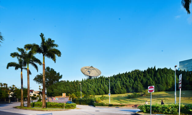 HIstory of Caldecott Hill