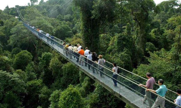 Part of Forest to make way for New Homes