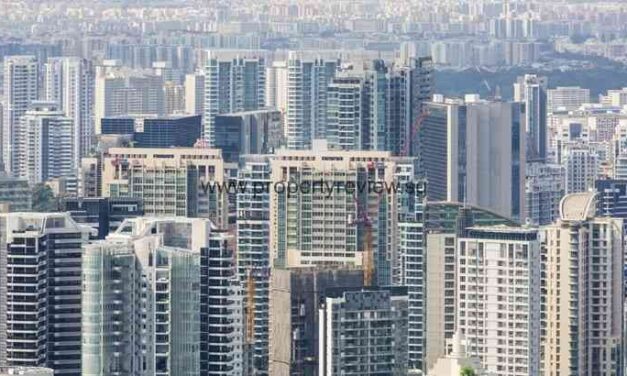 Too soon to say property market has recovered