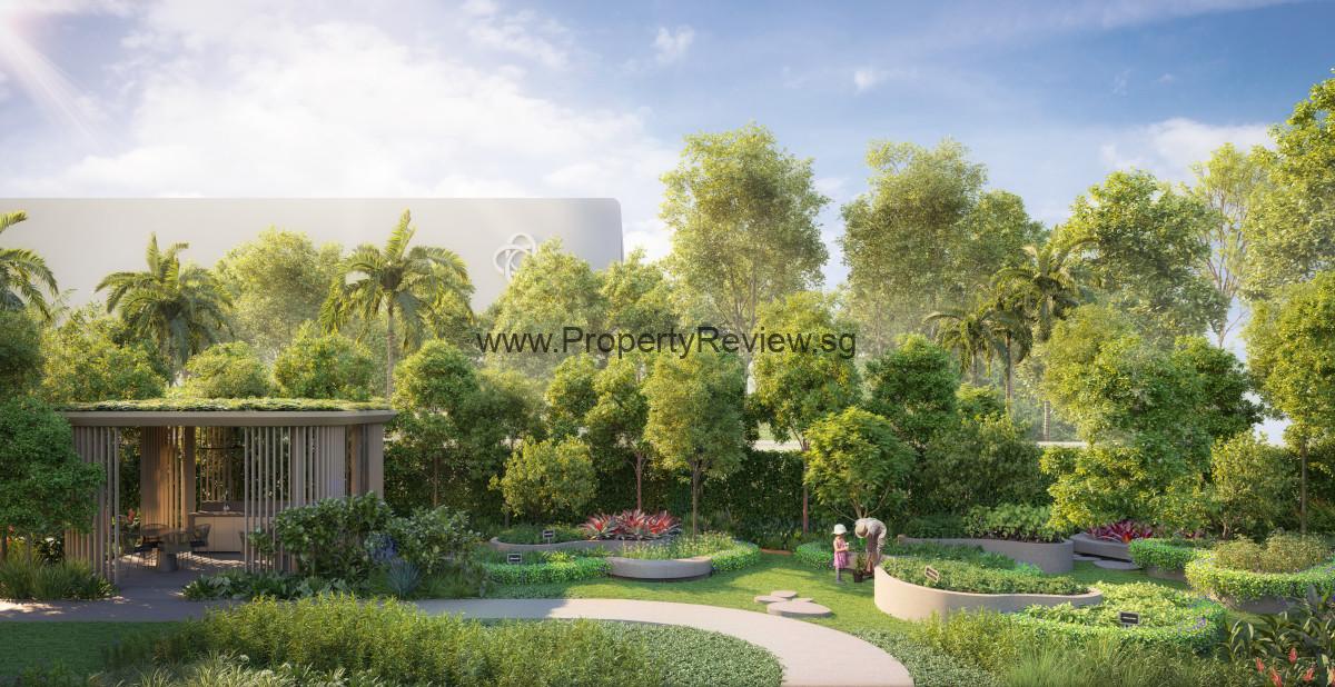 Hillhaven Urban Farm