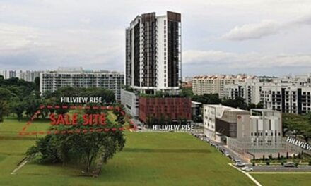 Hillview Rise Site Attracts 9 Bids