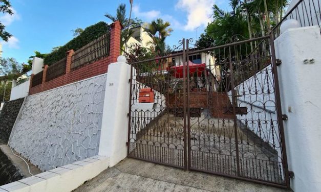 $12 Million Freehold Semi-detached House Along Orchard Road Up For Sale