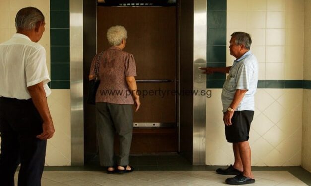 Elders to look forward to closely 11,000 new flats