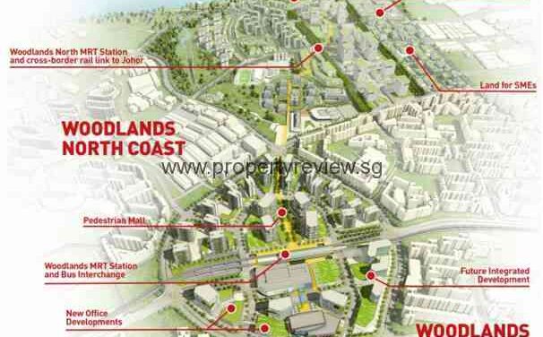 Woodlands set to become ‘star destination’