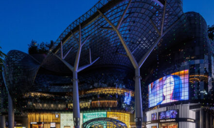 Transformation of Orchard Shopping Belt