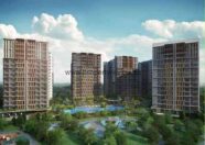 Parc Life EC