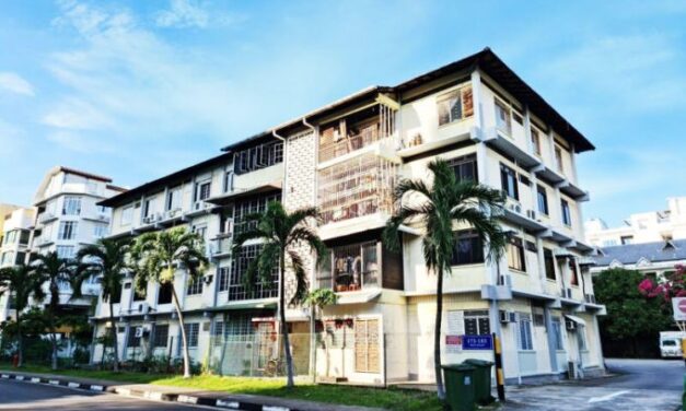 The Amerald Studio enbloc to Nanshan Group for $49.3m