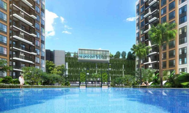Brownstone EC at Canberra Open from July 10