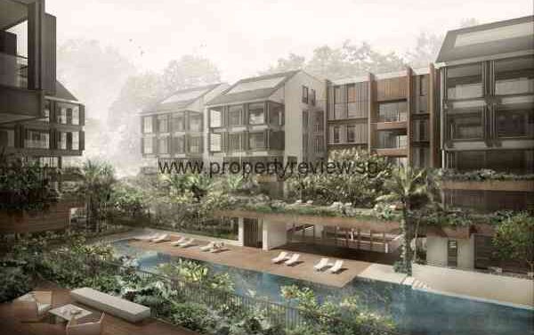 The Nassim