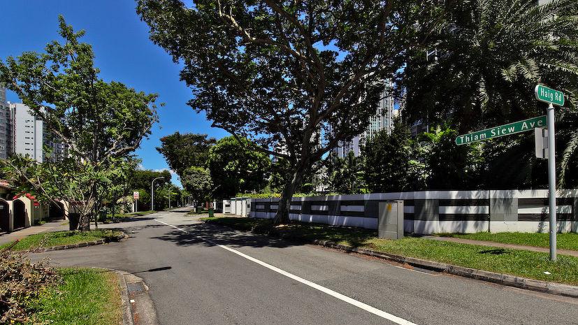 Thiam Siew Avenue Houses up for Sale by Wee Family 2 Thiam Siew Residences Street View