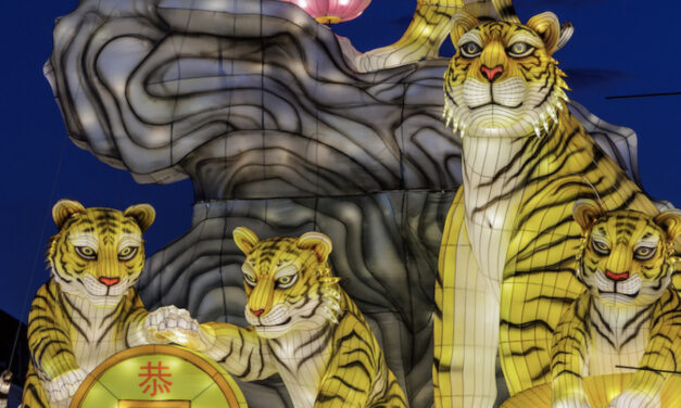 Will the Bull Run in Property Continue in the Year of Tiger?