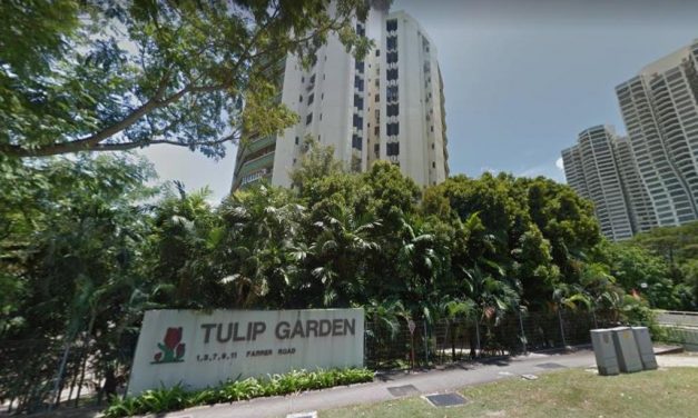 Tulip Garden En bloc to MCL Land & Yanlord Land Group for $906.9M