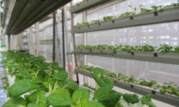 Urban Farming Facilities Attract Home Buyers