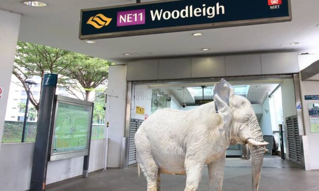 “White Elephant Lay Golden Eggs” at Woodleigh