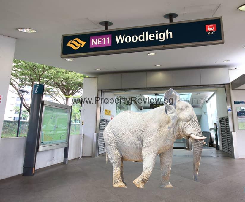 White Elephant Lay Golden Eggs at Woodleigh MRT Station