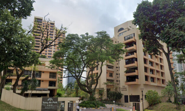 Yong An Park Resale Unit clock $8.7m profit